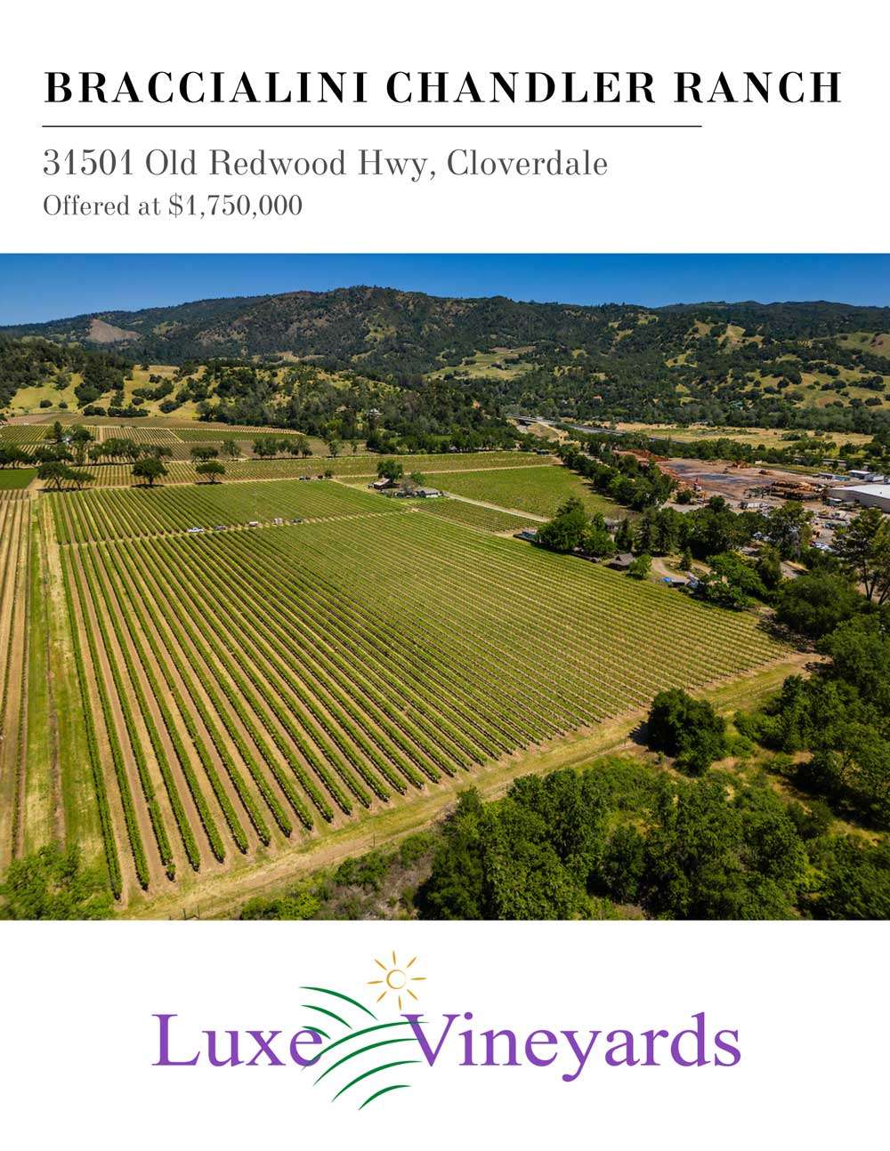 Braccialini,-Chandler-Ranch-1