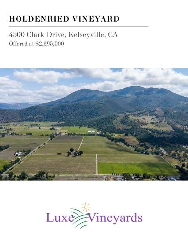 Holdenried Vineyard_page1